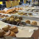 마고플레인 이미지