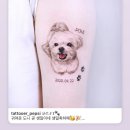 6516 | 대구 반려견 타투 잘하는 곳 - 중구 교동 PEPSI TATTOO ‘펩시타투' 후기 #쩌아의 일상