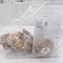 세종로113번길 | 여주디저트 ]] 쌀담은 디저트 후기