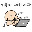 포토인더박스충주 이미지