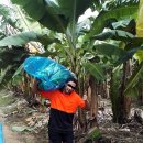 일중농장 이미지