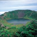 제주도예촌 이미지