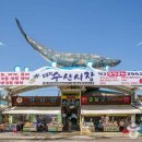 주문진종합시장 이미지