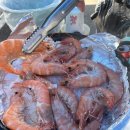주정차45 | [경기도 안성] 전어🐟, 새우🦐의 계절, 안성 맛집 추천, 안성 바우덕이 축제 후기🥳