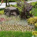 김태현공인중개사사무소 이미지