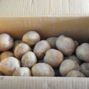 농산물 소개소 이미지