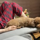 봄이2