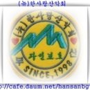 520 Daum카페