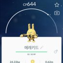 파르토
