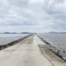 신안 우전 설레미 캠핑장 | [전라남도 신안군] [증도 모실길 2코스] 갯벌공원길