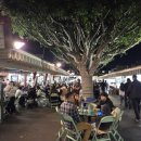 파머스마켓 | LA파머스마켓 주차, 운영시간, 팜파스그릴 솔직후기, LA그로브몰 크리스마스 분위기