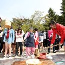 개미들농촌체험마을 이미지