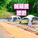 진량삼성요양병원 | 삼성병원근처암요양병원 후기, 항암 후 피로가 쉽게 사라지지 않는 이유