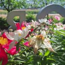 죽암경로당 이미지