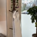 큰집 | 충주 목행동 쌀쌀한 날씨엔 뜨끈한 육개장 큰집아저씨 후기