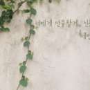 계절한조각 네이버블로그