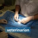 의성동물병원 이미지