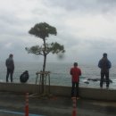 호성민박 이미지