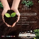 리본 테라피