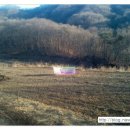 분당정(국궁장) 이미지