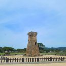 [국내여행 _ 경주] Day2 : 금관총,경주대릉원,첨성대,국립경주박물관,동궁과월지 점등시간,맛집 추천...