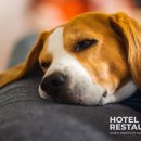 ㈜스카이투어관광 이미지