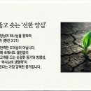매일의 구원의 여정 : 씨앗에서 선한 양심까지 이미지