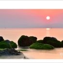 보성바다스토리리조트 이미지