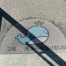 흥해 빵집