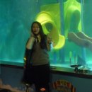 씨디월드 이미지