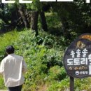 심항산 유아숲체험원 이미지