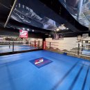 방 복싱 이미지