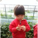 효동농장 이미지