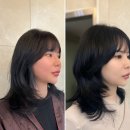 헤어마법사 - 영암군 남문로 1 | 헤어마법사