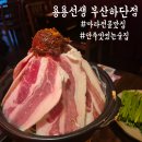 용용선생 부산하단점 | [부산 하단 맛집추천] 대창마라전골 먹어본 용용선생 솔직후기