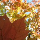 정평365의원 이미지