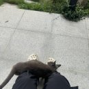 임이랑 농장 이미지