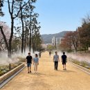 김해-내외-5-비상-1 | |오늘의 뉴스| |안형수 기자| 경상남도 김해시 공원녹지사업소 정례브리핑 [2026년 5월 12일 화요일]