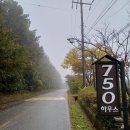 750 하우스 | 조용하게 힐링하기 좋은 대구 근교 펜션 750하우스 후기