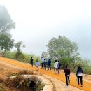 강빛꽃두레협동조합 이미지