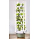 바이-수경 이미지