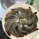 마레미오펜션 | 태안 애견동반 숙소 마레미오 갯벌체험 가능한 오션뷰 펜션 내돈내산 독채도 있어요