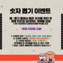 폴리네시아게코