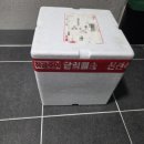 전라도김치 | 빛고을 김치 프리미엄 전라도 김치 솔직후기 진짜 맛있다