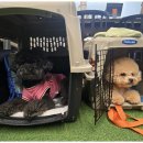 어뮤즈 호텔 이미지