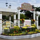 코스모스가든 이미지