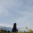 푸른바다 스파펜션 네이버블로그