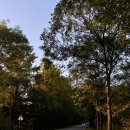 신성동 주민센터 버스정류장 이미지