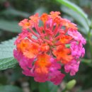 햇살좋은아침 이미지