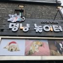멍냥놀이터 네이버블로그